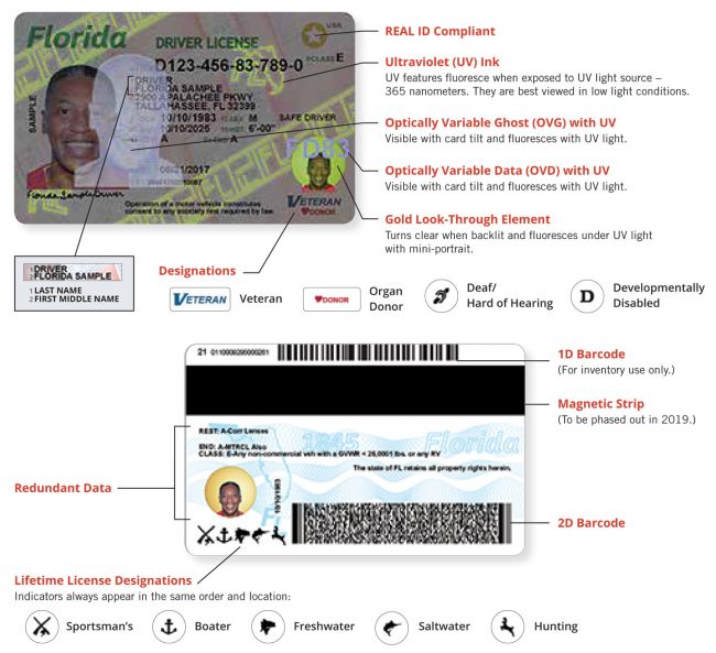 drivers license security features pdf